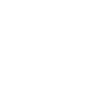Yoshinova logo